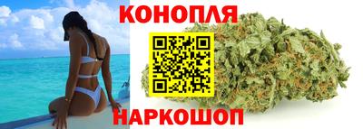 крисы Пенза