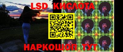 крисы Пенза