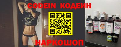 крисы Пенза