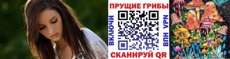 дарнет шоп  Курганинск  ОМГ ОМГ зеркало  Галлюциногенные грибы мицелий 