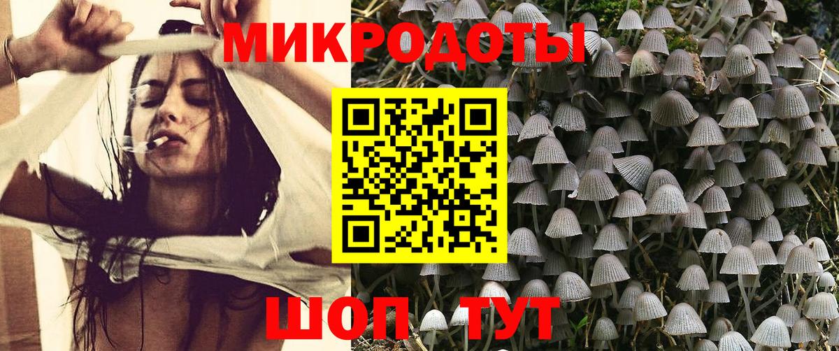 Курганинск  Псилоцибиновые грибы ЛСД  Вход с VPN 